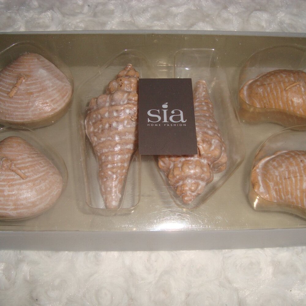 Sia Seashells Floating Candle Set of 6 New